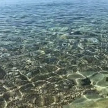 Sea By Vine, Olive Oil Tasting, Kajaks, Grill *
