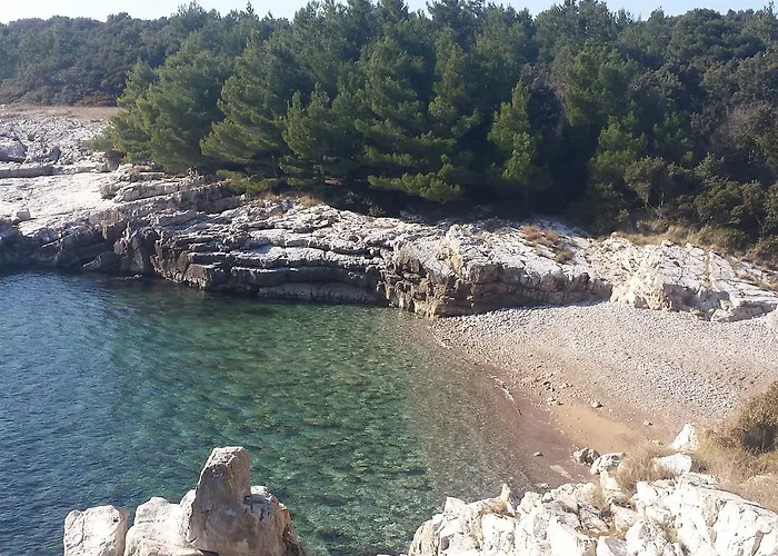 Apartman Sea By Vine, Olive Oil Tasting, Kajaks, Grill