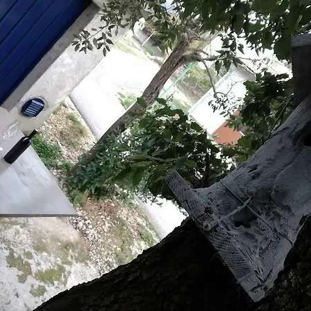 Apartment Dobric