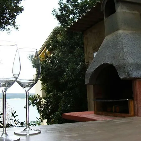 Dobric Apartment *