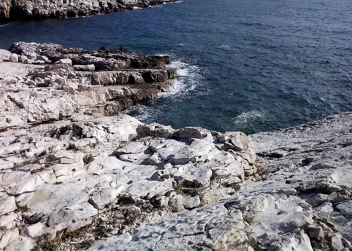 Sea By Vine, Olive Oil Tasting, Kajaks, Grill