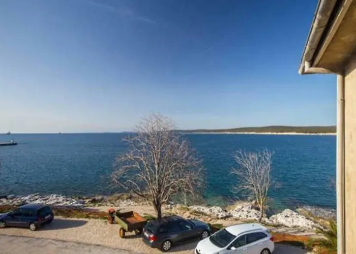 Sea By Vine, Olive Oil Tasting, Kajaks, Grill Lejlighed Koromačno