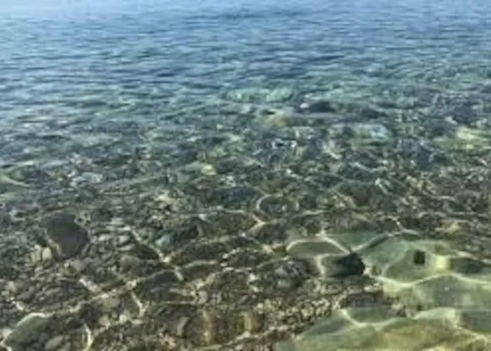 Sea By Vine, Olive Oil Tasting, Kajaks, Grill *